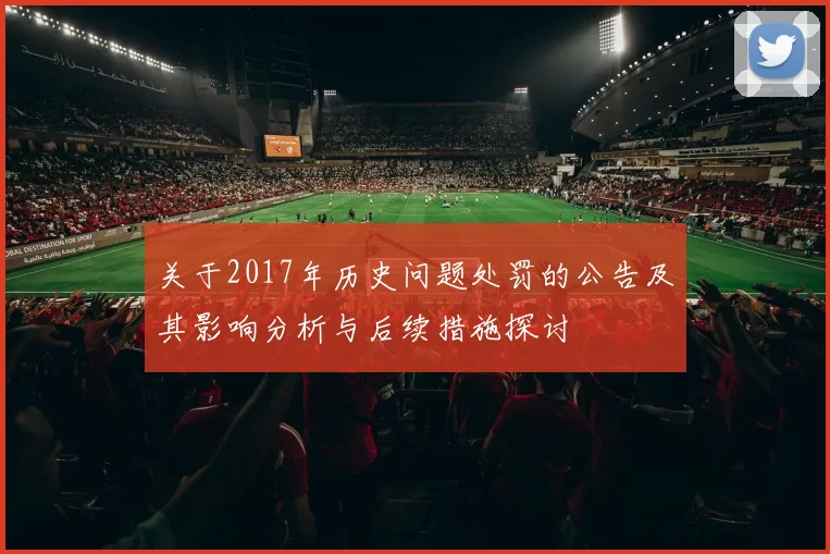 关于2017年历史问题处罚的公告及其影响分析与后续措施探讨
