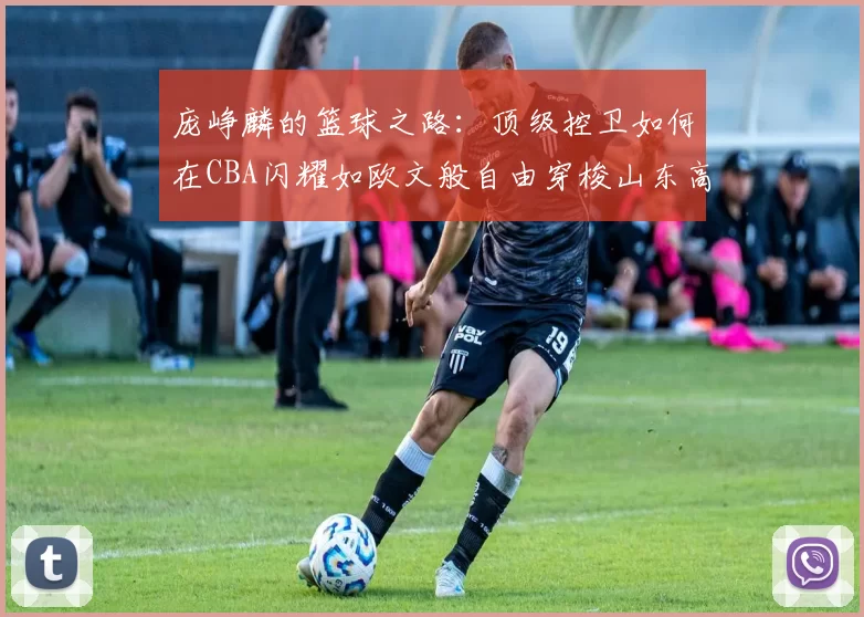 庞峥麟的篮球之路：顶级控卫如何在CBA闪耀如欧文般自由穿梭山东高速
